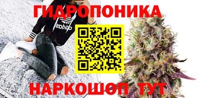 молекула духа Донской