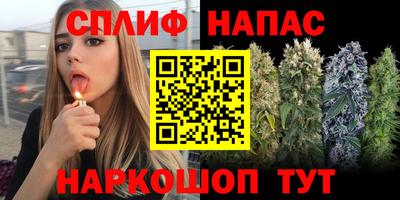 a pvp Заводоуковск