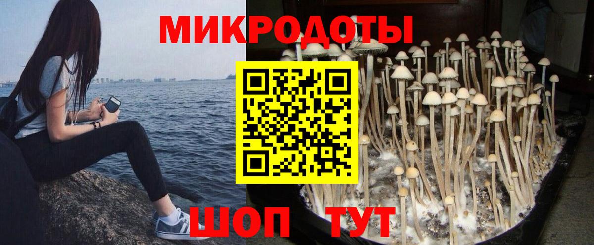Галлюциногенные грибы мухоморы Лосино-Петровский